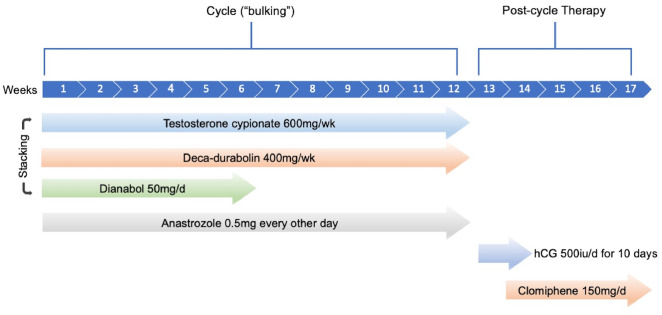 Bodybuilding Training mit Boldenon