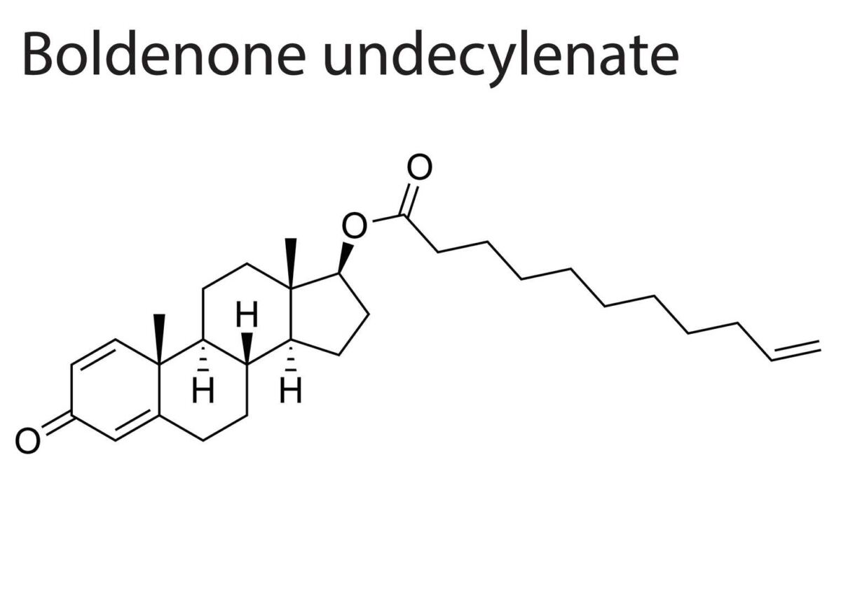Boldenon chemische Struktur