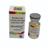 Boldenone Undecylenate Injection 10ml at ₹ 3200/box | Boldenone Undecenoate in Amravati | ID ...