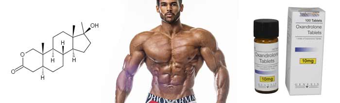 Der Effekt einer zwölfwöchigen Kur mit Oxandrolon - GANNIKUS.de