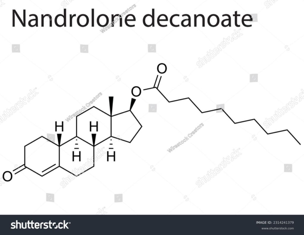 Nandrolon Decanoat Molekülstruktur