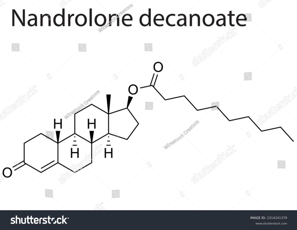 Nandrolon Decanoat Molekülstruktur