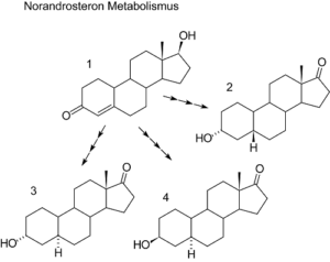 Nandrolon Strukturformel