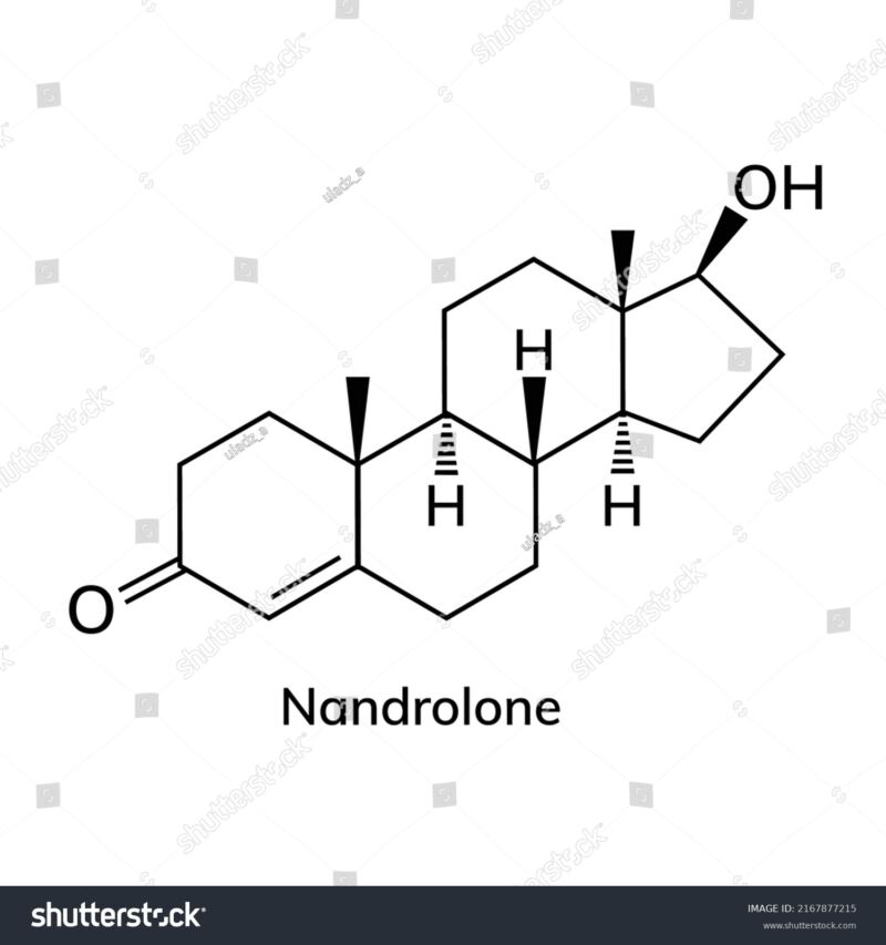 Nandrolone Structural Chemical Formula On Wite Stock Vector (Royalty Free) 2167877215 | Shutterstock