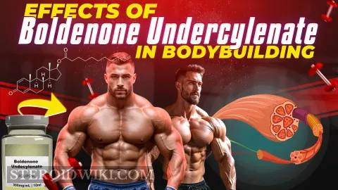 SteroidWiki - Ultimate Guide to Steroids
