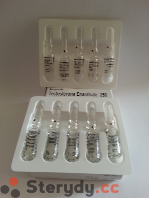 Testosteron Enantat