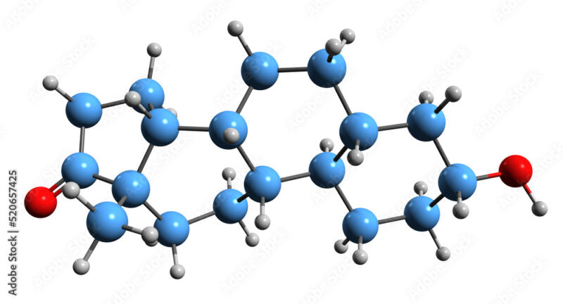 3D image of Norandrosterone skeletal formula - molecular chemical structure of metabolite of ...