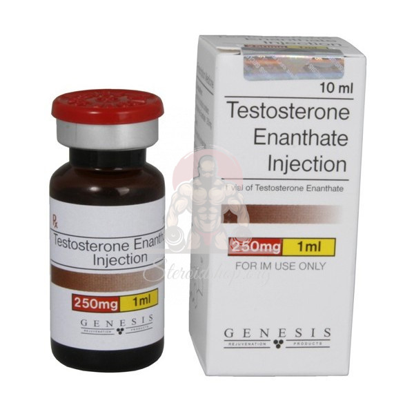 Genesis Testosteron Enantat 250mg 10ml kaufen