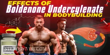 Michal Krizo: The Perfect Physique