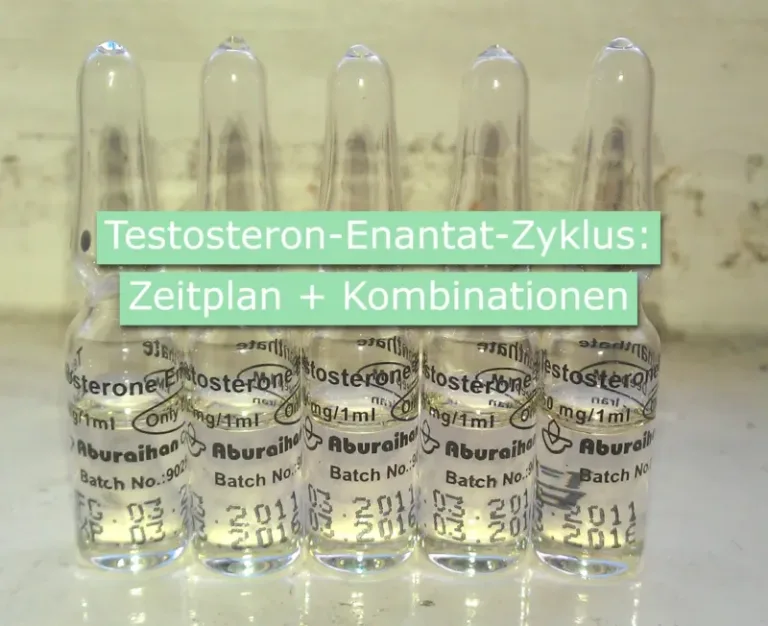 Testosteron Enantat-Zyklen (Kur), Dosierung Und Kombinationen