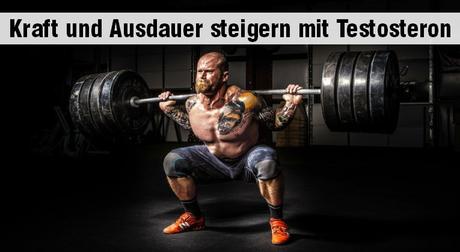 Testosteron: Kraft und Ausdauer steigern mit dem Hormon Testosteron