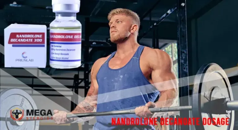 What are the Nandrolone Decanoate Dosage for Bodybuilding? - MEGA-STEROIDS.is