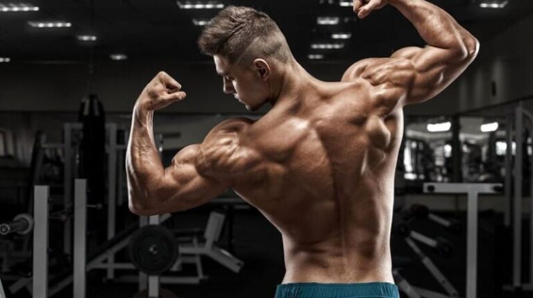 Winstrol (Stanozolol) • WikiStero • The Anabolic Steroids Bible