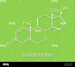 Boldenone anabolic steroid, chemical structure. Skeletal formula Stock Photo - Alamy
