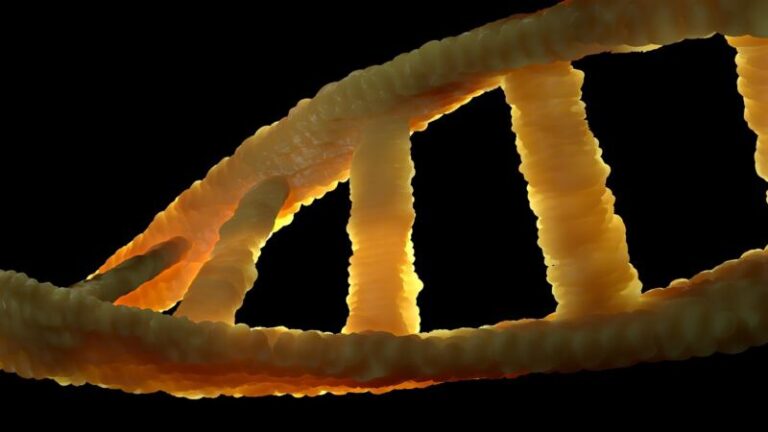 dna, dns, biologie, erbgut, doppelhelix, molekül, adenin, thymin, guanin, cytosin, dna, dna, dna, dna, dna