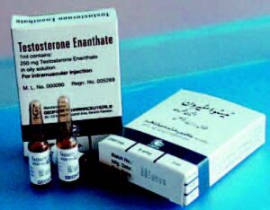 Testosteron Enantat - Anabolika Infos
