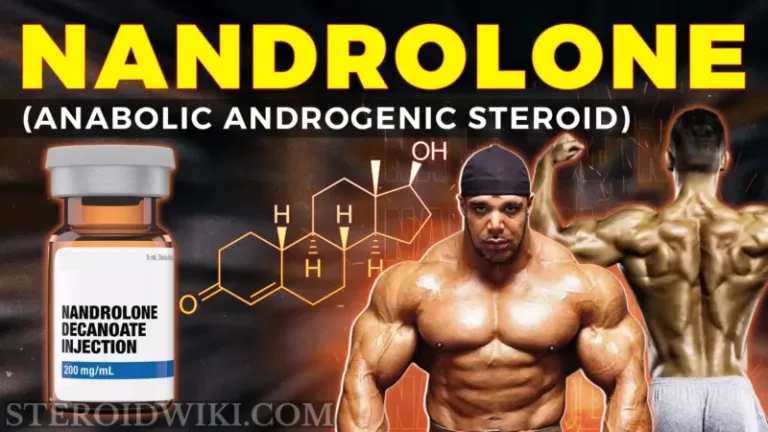 Understanding Nandrolone and It's Risks