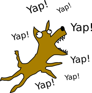 Yap Clip Art at Clker.com - vector clip art online, royalty free ...
